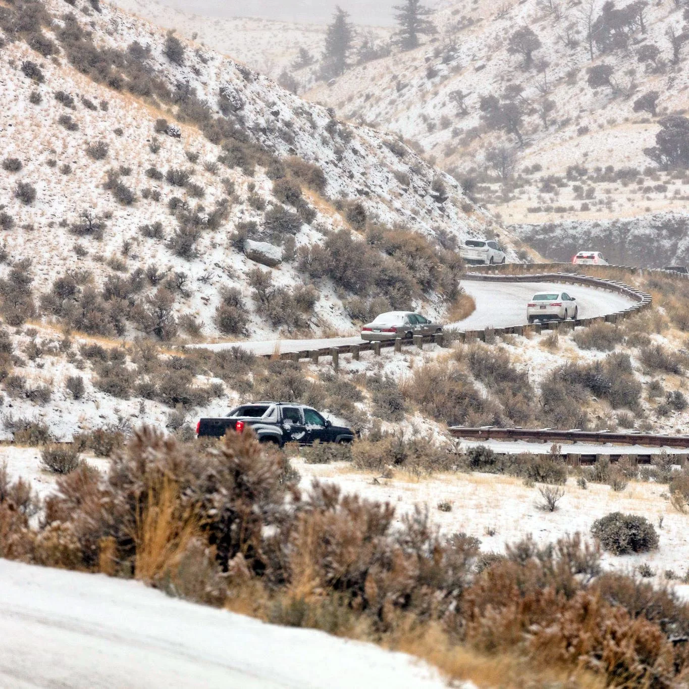 Cars on a snow-covered Yellowstone road; seasonal access varies by entrance